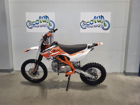 New 2025 Kayo TT 125 EFI Dirt Bike | Motorcycles in Forest Lake MN