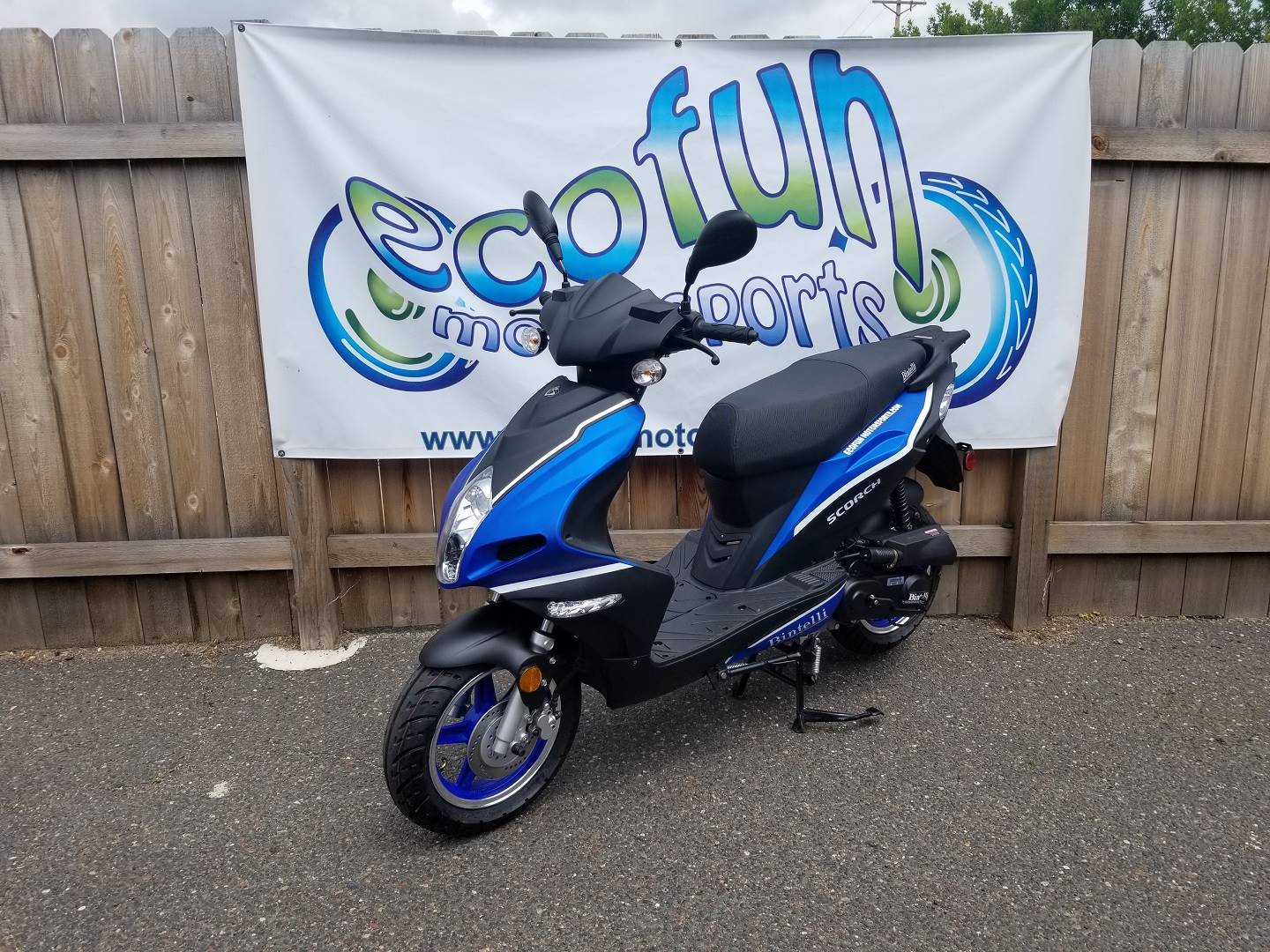 New 2023 YNGF Scorch 49cc Scooter | Scooters in Forest Lake MN | Blue