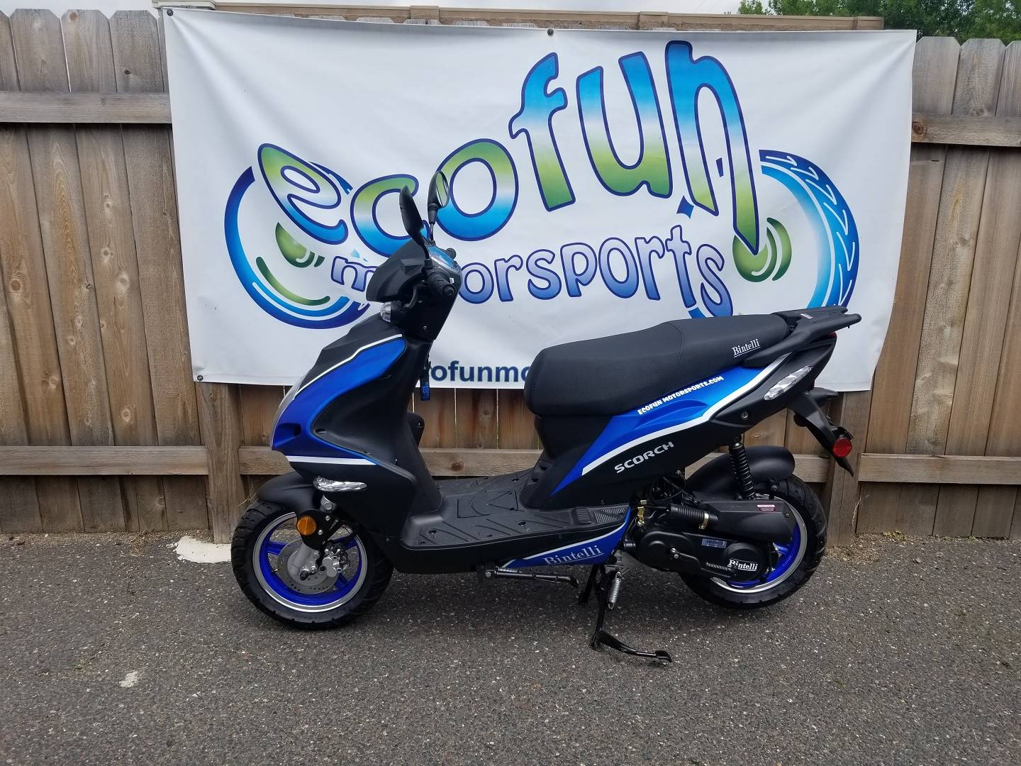 New 2023 YNGF Scorch 49cc Scooter | Scooters in Forest Lake MN | Blue