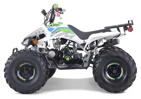 New 2025 TAO Motor Green Cheetah 125 Youth ATV | ATVs in Forest