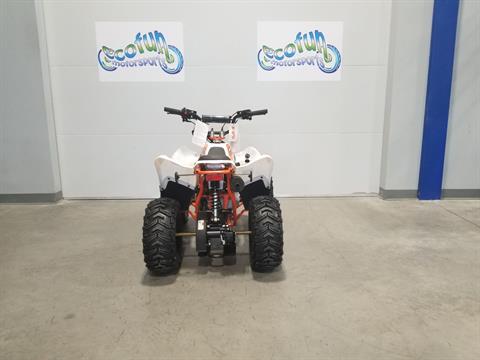 New 2025 Kayo KMB 60 | Motorcycles in Florence KY | White