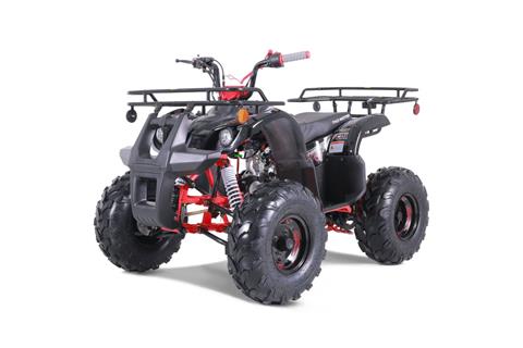 【アチャンさん】mounten. 125 Amazon.com: ATV Cylinder Head 125cc 52mm Bore, fits most