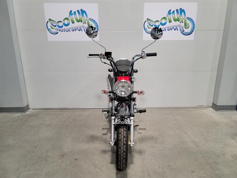 New 2024 Icebear Champion 125 Motorcycle | Motorcycles in Forest