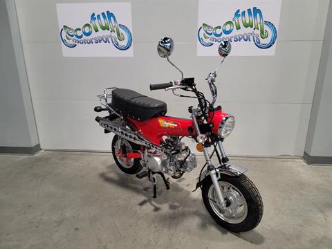 New 2024 Icebear Champion 125 Motorcycle | Motorcycles in Forest