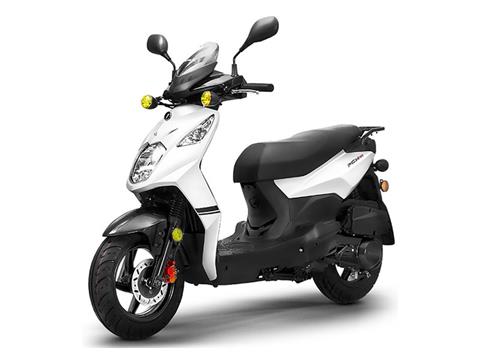 SCOOTER SCT 140cm！！ New 2021 Lance Powersports PCH 49cc Scooter | Scooters in Forest
