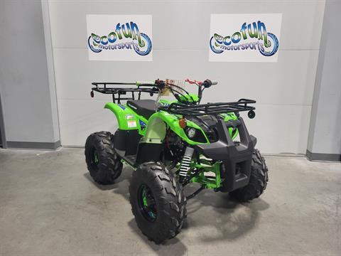 Tao Motor Inventory for Sale | Ecofun Motorsports, Forest Lake MN