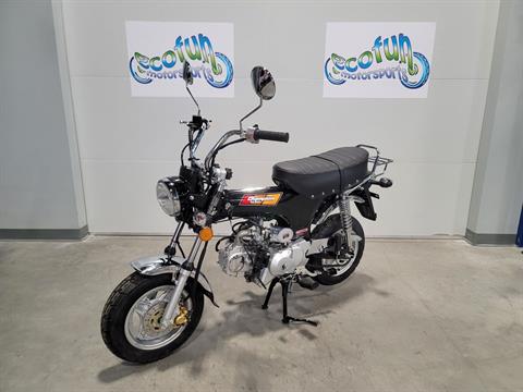 New 2024 Icebear Champion 125 Motorcycle | Motorcycles in Forest