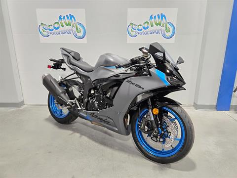 New Inventory for Sale in MN | Ecofun Motorsports, Forest Lake