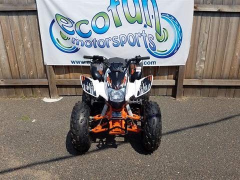 New 2022 Kayo Storm 150 Youth ATV | ATVs in Forest Lake MN | White