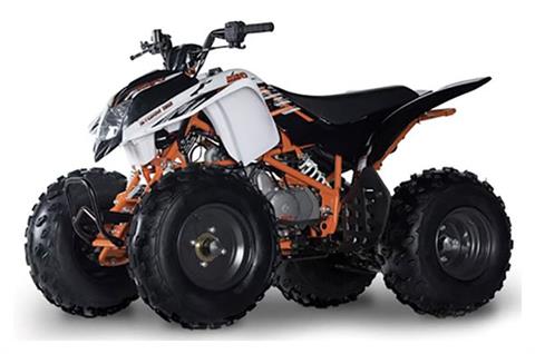 New 2022 Kayo Storm 150 Youth ATV | ATVs in Forest Lake MN | White