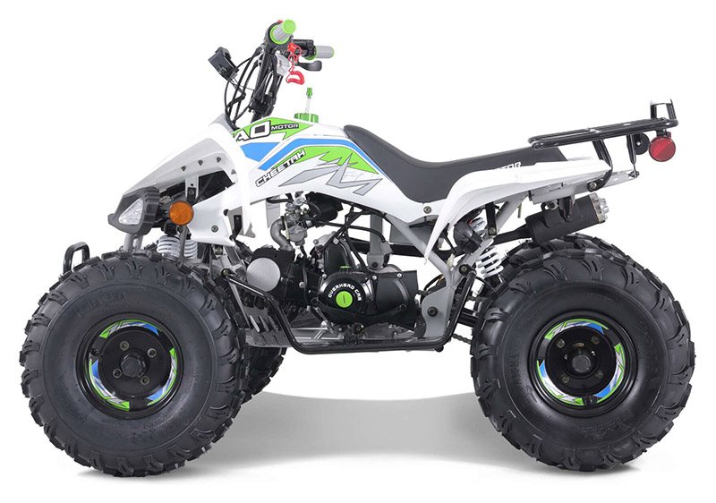 New 2023 TAO Motor Green Cheetah 125 Youth ATV | ATVs in Forest