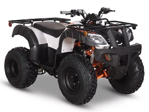 kayo yon  2023 Kayo Fox 70 | New ATVs for Sale in Osseo MN | 0007 Black