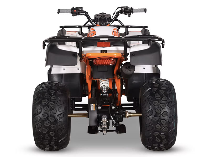 New 2025 Kayo Bull 150 EFI Youth ATV | ATVs in Forest Lake MN | White