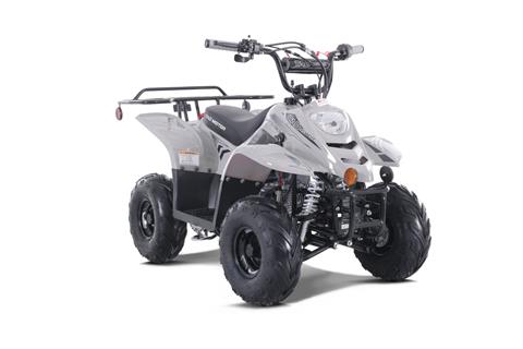 Tao Motor Inventory for Sale | Ecofun Motorsports, Forest Lake MN