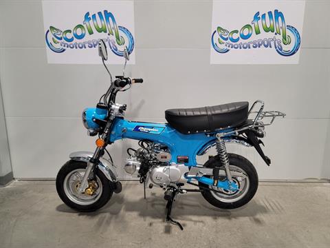 Blue Border chocoNekoβ Golden Tech GC440 Companion 4-Wheel Bariatric Mobility Scooter