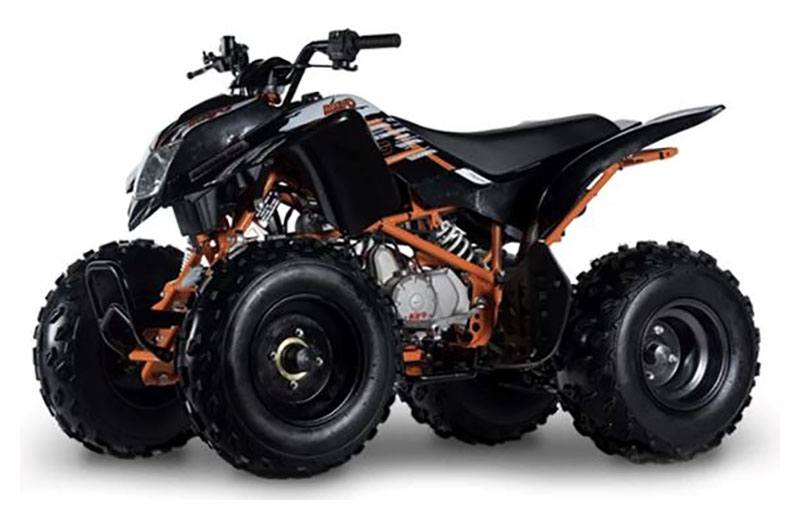 kayo•*¨*•.¸♬︎ New 2024 Kayo TT 140 Dirt Bike | Motorcycles in Forest Lake