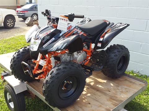 New 2021 Kayo Storm 150 | ATVs in Forest Lake MN | Black