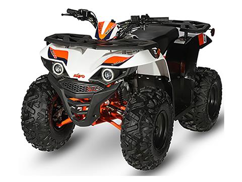 kayo•*¨*•.¸♬︎ New 2025 Kayo Bull 180 Black | ATVs in Clovis NM |