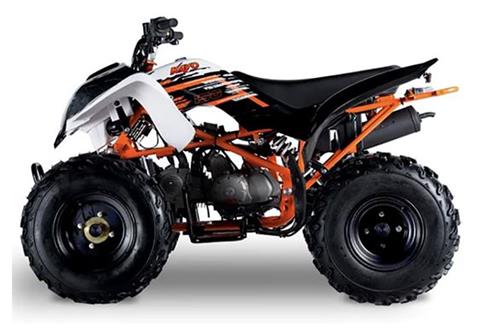 New 2021 Kayo Storm 150 | ATVs in Forest Lake MN | White