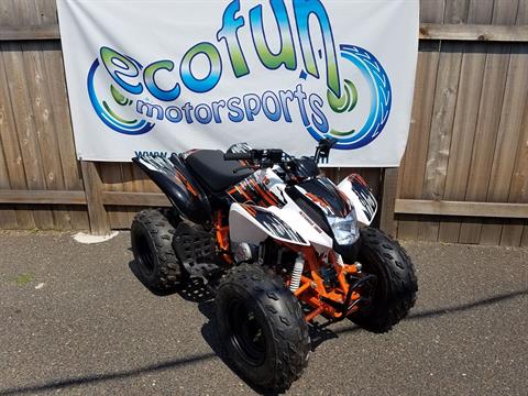 New 2021 Kayo Storm 150 | ATVs in Forest Lake MN | White