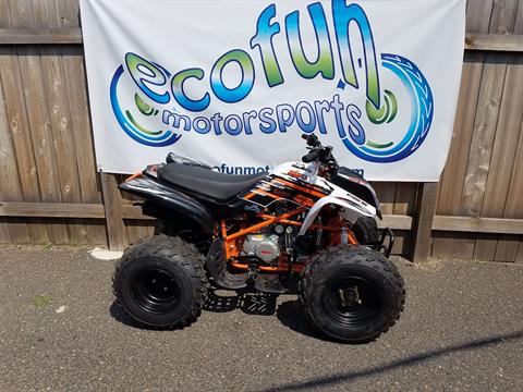 New 2021 Kayo Storm 150 | ATVs in Forest Lake MN | White