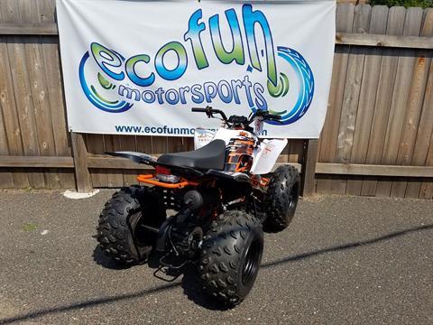 New 2021 Kayo Storm 150 | ATVs in Forest Lake MN | White