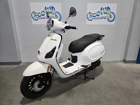 scooter SPINOR スクーター141cm 20-21 24-25 SCOOTER(スクーター)・SPINOR スピナー・スノーボード
