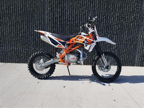 New 2024 Kayo TT 125 Dirt Bike | Motorcycles in Forest Lake MN