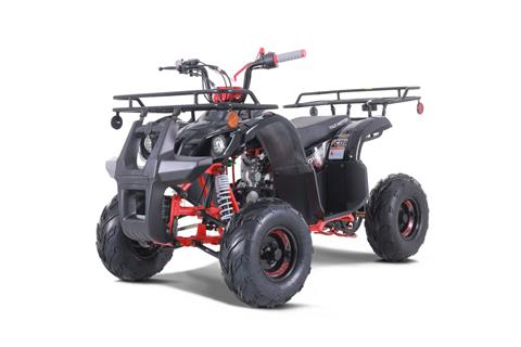 【新品未使用】 motto_kuma tarptotarp model New 2025 Tao Motor Black Trooper 125 Youth ATV | ATVs in Forest
