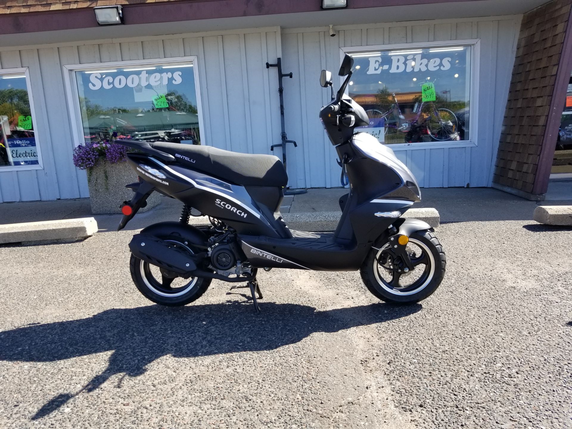 New 2023 YNGF Scorch 49cc Scooter | Scooters in Forest Lake MN | Black