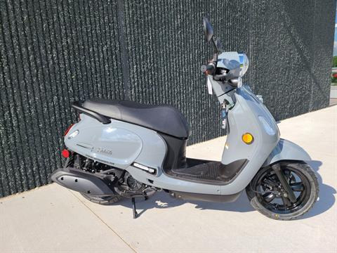 New 2022 SYM Fiddle 4 200i Scooter | Scooters in Forest Lake MN