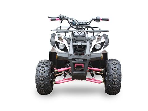 New 2022 Icebear Pink Trooper 125 Youth ATV | ATVs in Forest Lake
