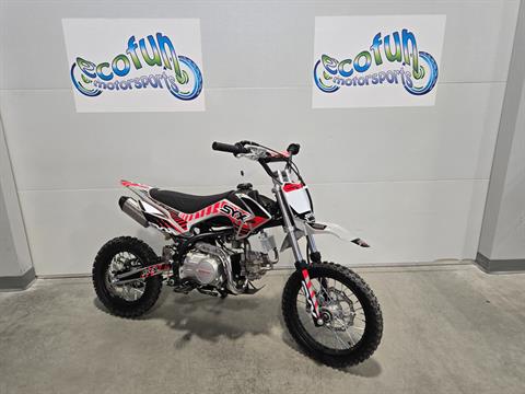 New 2025 Icebear Roost 125 Semi Auto Dirt Bike Motorcycles in