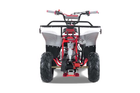 Nomad ステーションワゴン 赤/白 New 2024 Tao Motor Red Scout 110 Youth ATV | ATVs in Forest Lake
