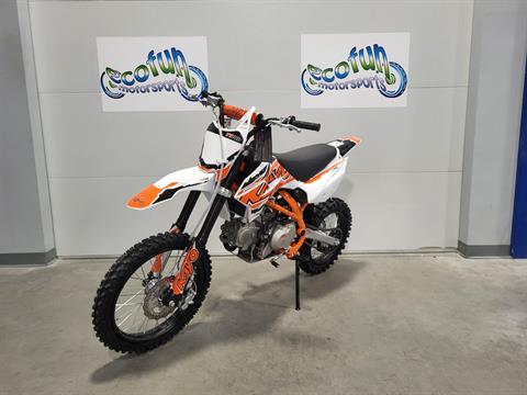 Kayo Dealer, Forest Lake MN | Models at Ecofun Motorsports