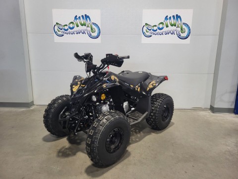 New ATVs Inventory for Sale in MN | Ecofun Motorsports, Forest Lake