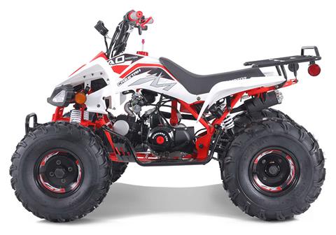 New 2023 TAO Motor Red Cheetah 125 Youth ATV | ATVs in Forest Lake