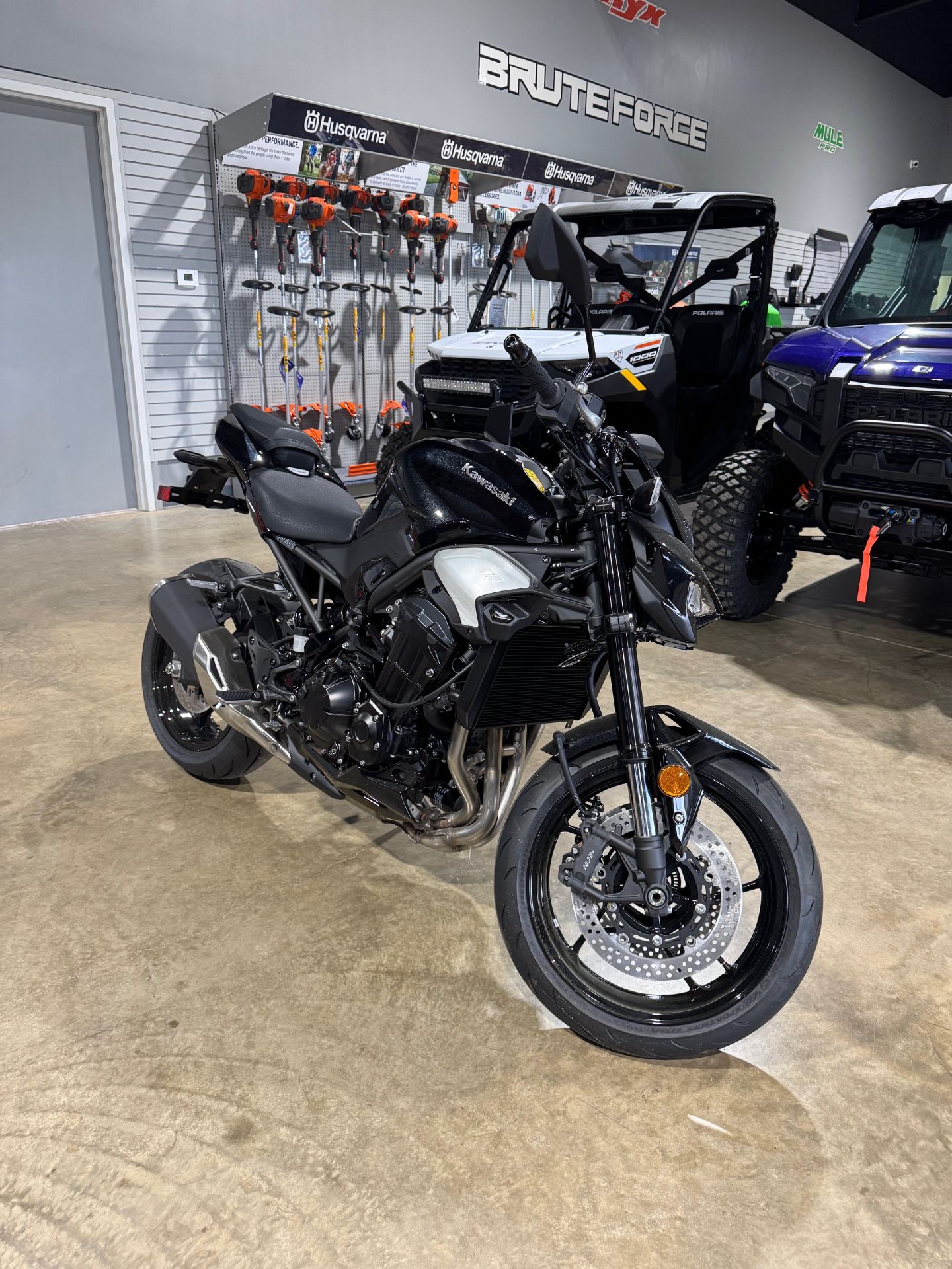 2025 Kawasaki Z900 ABS 5