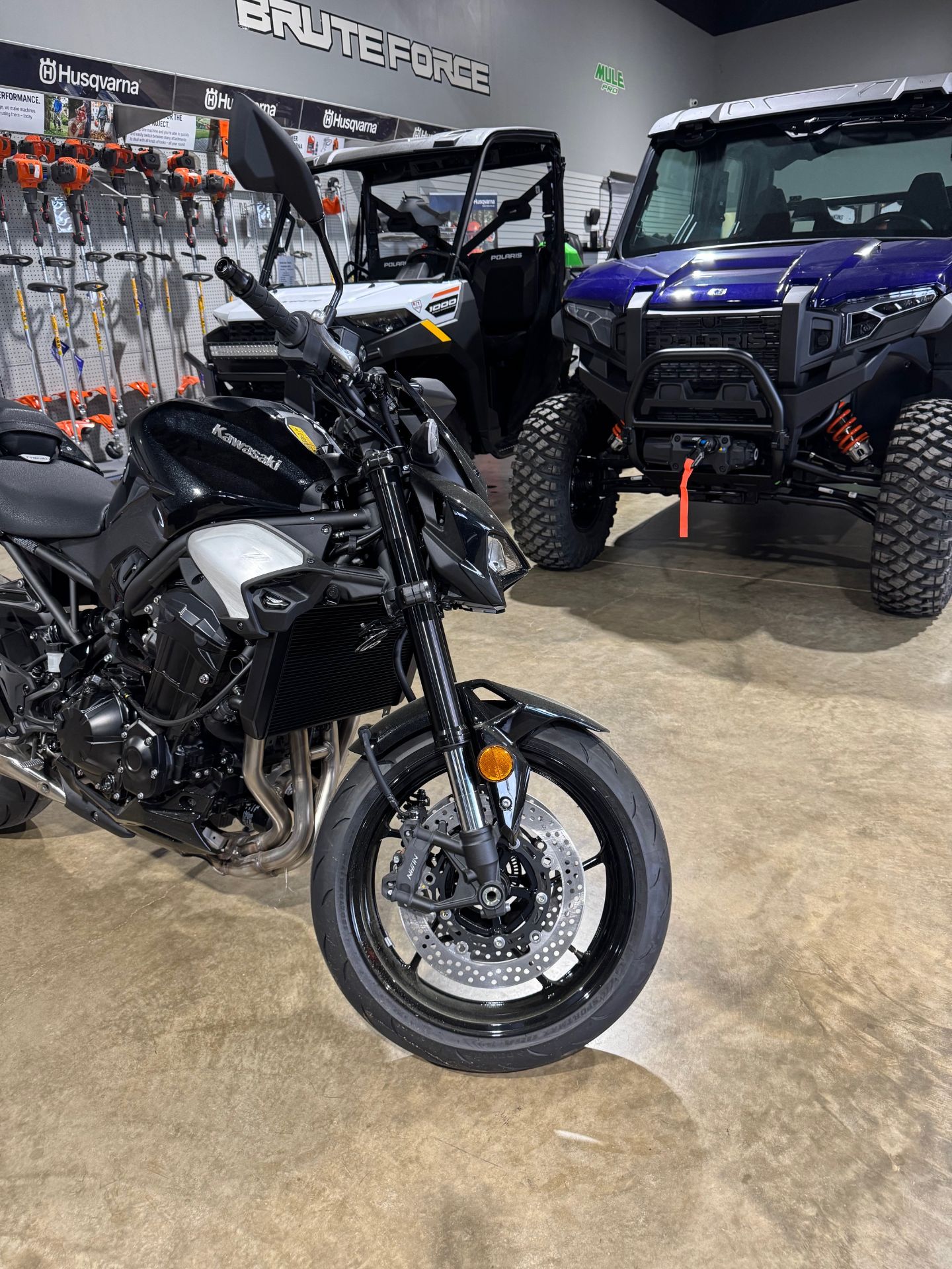2025 Kawasaki Z900 ABS 7
