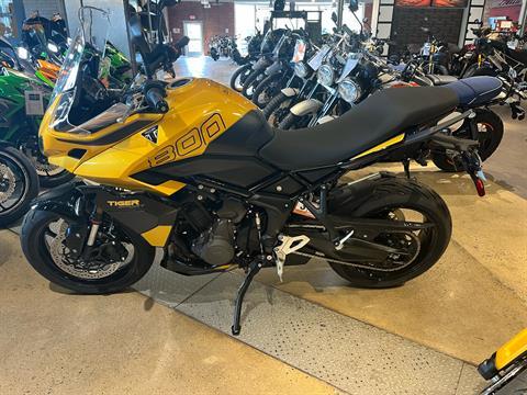 New 2025 Triumph Tiger Sport 800 Motorcycles in Bristol, VA