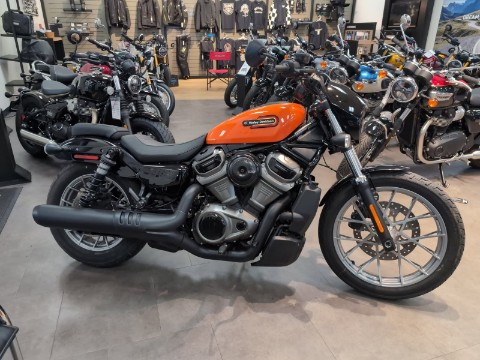 2024 Harley-Davidson Nightster Special