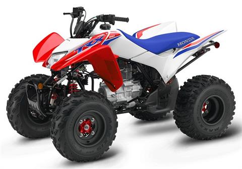 Axel collection 9インチ　ホワイト×ブルー×レッド 2026 Honda TRX250X ATVs New Haven Connecticut N/A