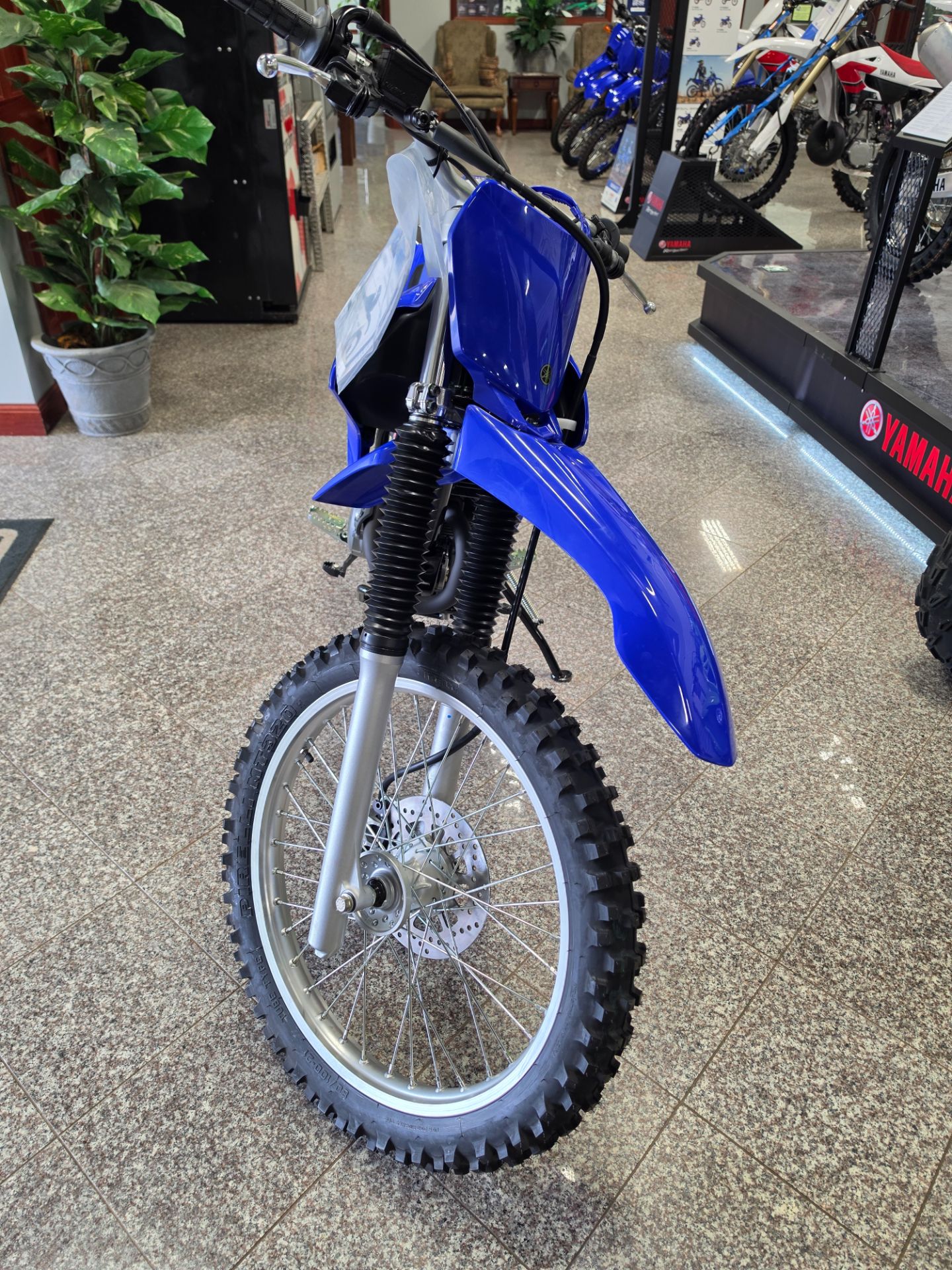 2026 Yamaha TT-R230 2