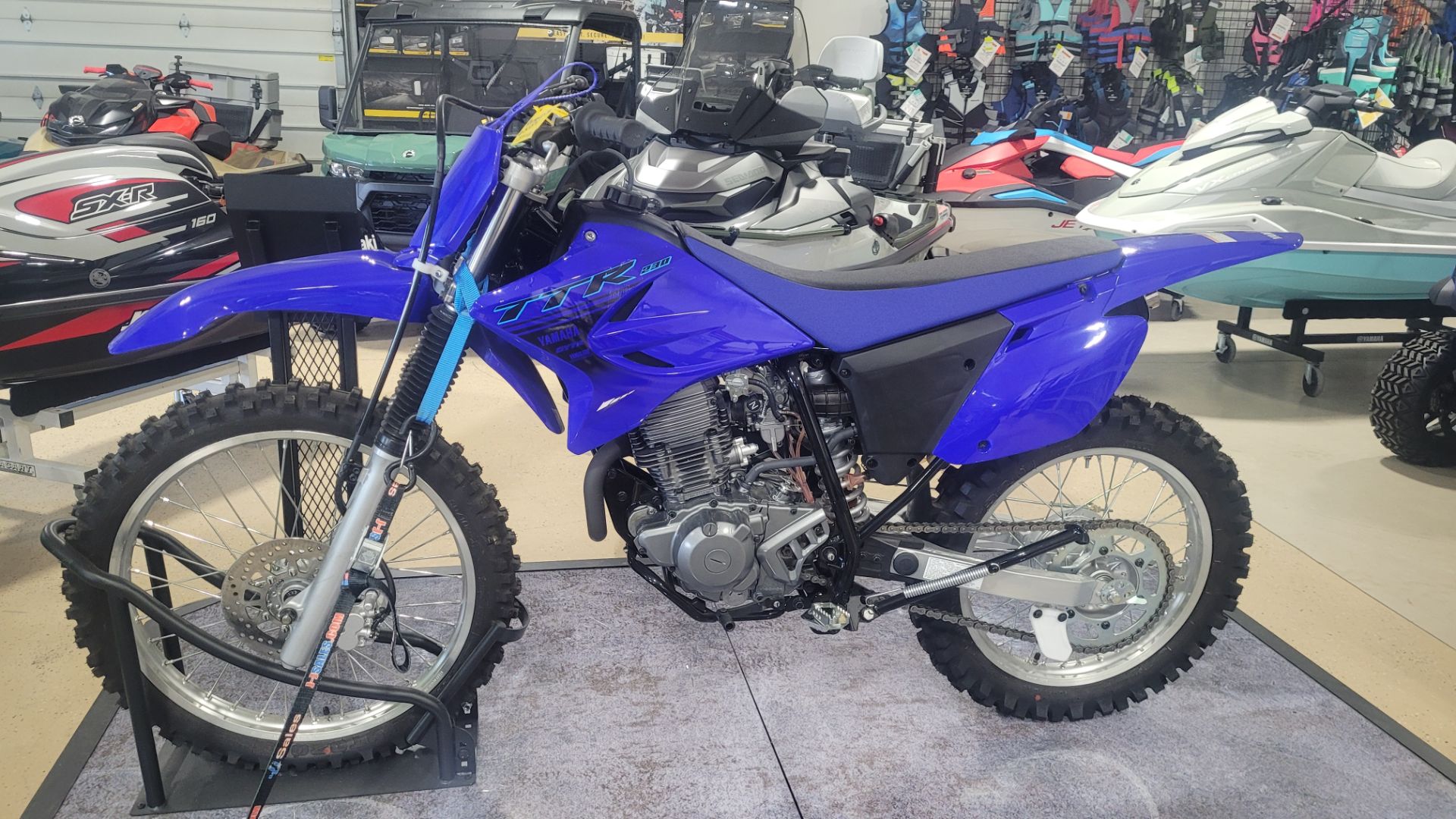 2024 Yamaha TT-R230 in Huron, Ohio - Photo 1