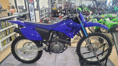 2024 Yamaha TT-R230 in Huron, Ohio - Photo 3