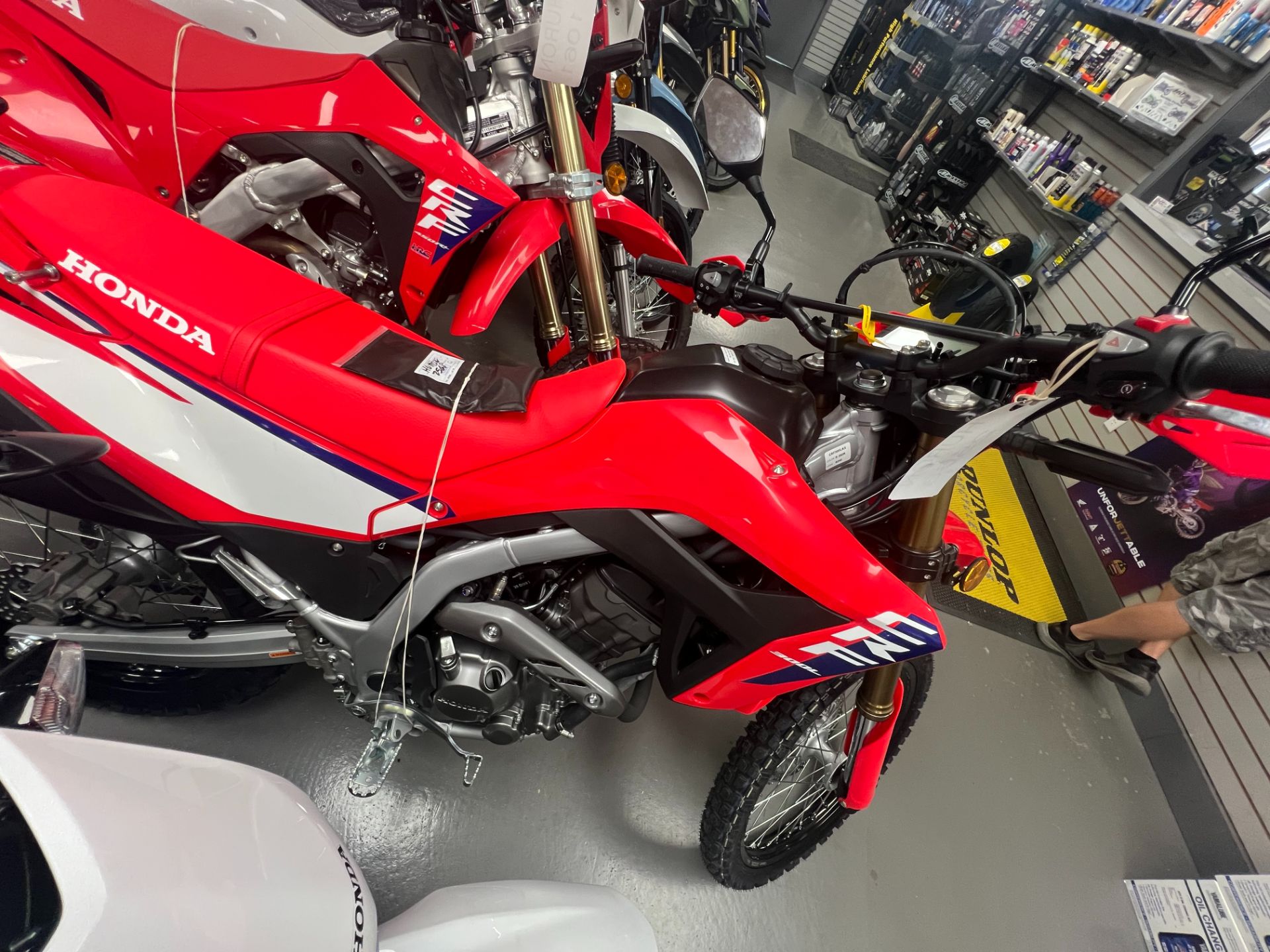 2025 Honda CRF300L ABS in Huron, Ohio - Photo 2