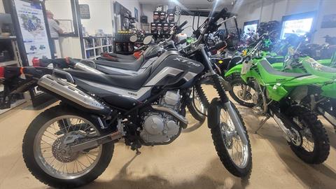 2024 Yamaha XT250 in Huron, Ohio - Photo 3