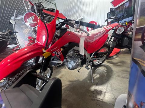 2025 Honda CRF125F - Big Wheel in Huron, Ohio - Photo 3
