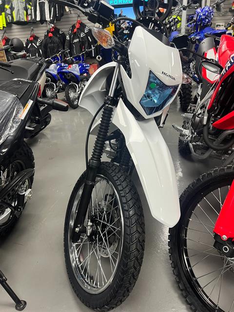 2025 Honda XR150L in Huron, Ohio - Photo 2