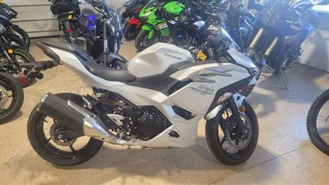 2025 Kawasaki Ninja 500 in Huron, Ohio - Photo 1